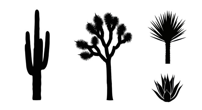 Black silhouettes of desert plants including Joshua trees cacti.