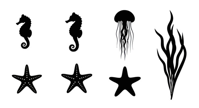 Underwater sea life silhouettes including seahorses and starfish.