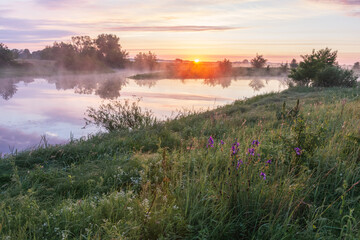 Obraz premium serene sunrise over a misty lake, featuring vibrant purple wildflowers in the foreground and golden light reflecting on water