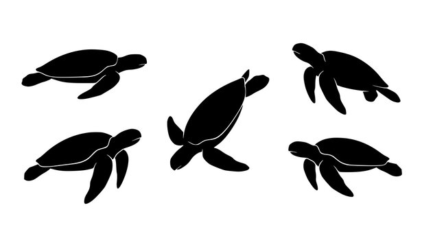 Five black sea turtle silhouettes swimming vector set featuring marine wildlife ocean animal illustration collection