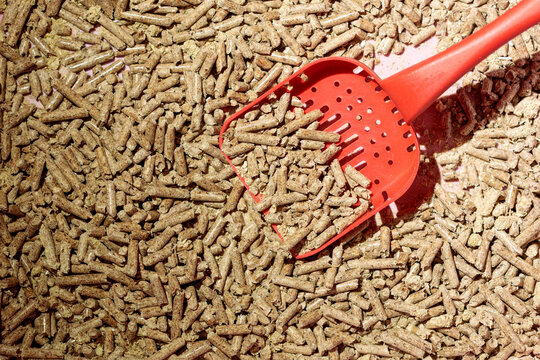 Complete Cat Toilet Setup Wood-Based Litter and Red Scoop
