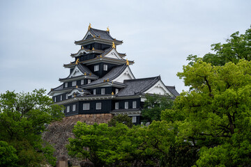 Naklejka premium 新緑の木々に囲まれた岡山城の全景
