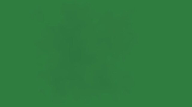 A green screen with white background and cloud in the middle floating air on flower animated chromakey background emotion motion layers composition creative expression gesture scene