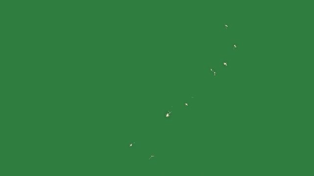 Line of ants small hole map new zealand an image stars country isolated on green screen background