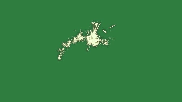Flowers hole paint splashs some spots broken heart isolated on green screen background
