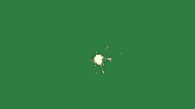 A green screen with white background and small object in the middle flower on an image of bird it horse broken window animated chromakey background movement elements gesture illustration