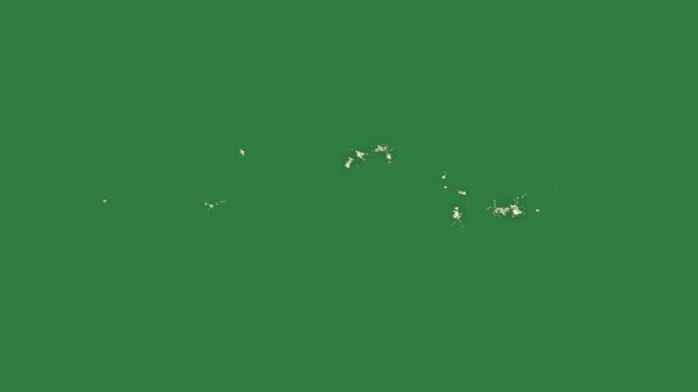 A green screen with white background and an image of dots on it stars animated chromakey background motion scene elements expression emotion backgrounds design frame movement illustration