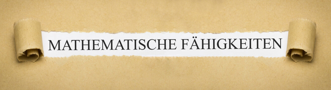 Mathematische Fähigkeiten
