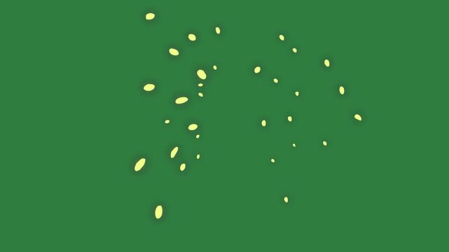 A green screen with white background and bunch of flowers on it seeds clock dots animated chromakey background creative elements illustration frame depth expression layers colorful
