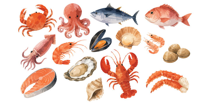 Watercolor raw marine seafood and ocean animals collection