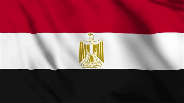 waving flag of egypt