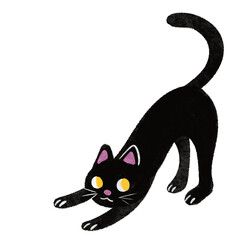 Black cat poses on weekend © FMD.Biz