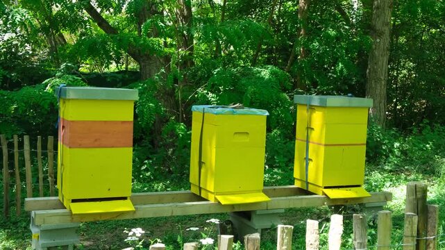 Row of handmade bee houses behind a wooden fence in summer.