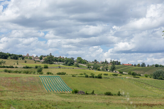 vignoble lyonnais