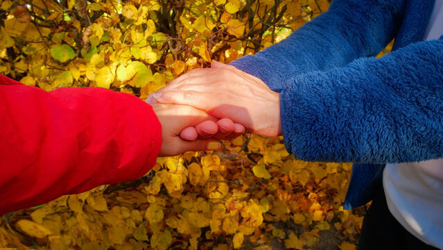 Close up of people holding hands  together for comfort and support with yellow in autumn park leaves background.