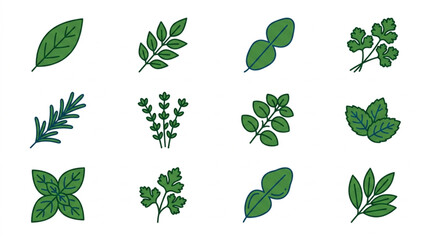 Collection of Fresh Green Herb Leaves Isolated on White Background. © reyhan