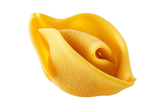 yellow tortillon traditional Italian pasta filled with meat or cheese isolated on white background, Clipping Path, png