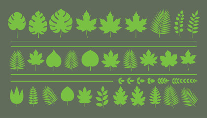 Obraz premium Green leaves collection vector illustration decorative nature elements for design.