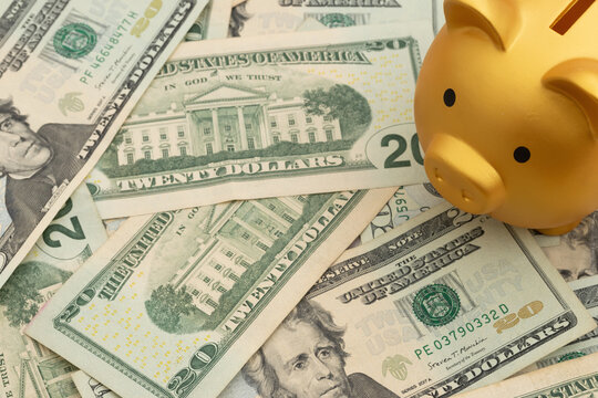 Piggy bank on twenty dollar bills for budgeting