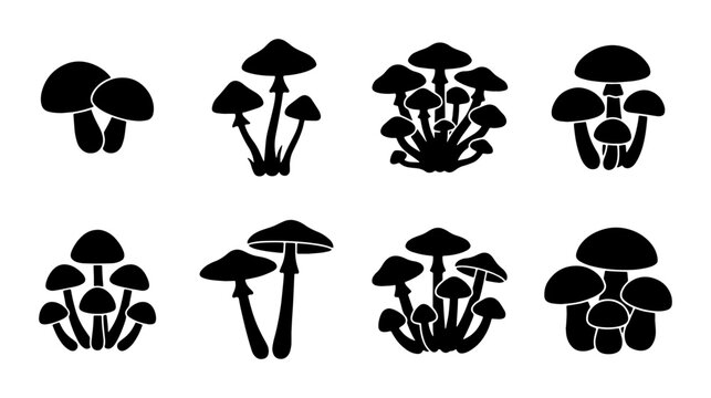 Mushroom Icons Set, Fungi Vector Graphics, Forest Elements, Edible and Poisonous Plants, Nature Symbols