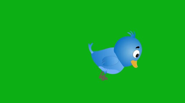 bluebird avian feathers beak wings fly sky nature premium stock media clip for professional video editing projects. this high-end visual element is perfectly optimized