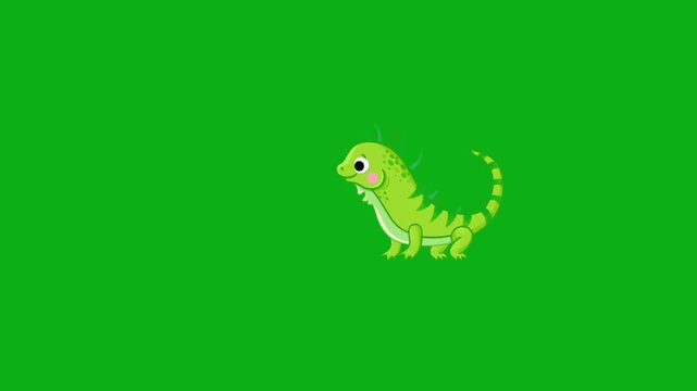 lizard chameleon reptile scales tail camouflage nature premium stock media clip for professional video editing projects. this high-end visual element is perfectly optimized