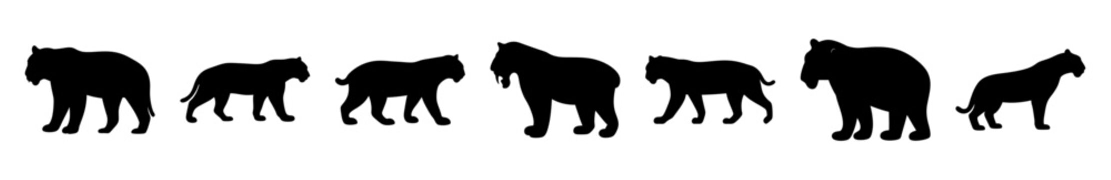 Black bear walking in a line illustration - Sleek black bear silhouettes walking in a row, minimalist and stylized vector illustration for editorial or nature-themed projects.