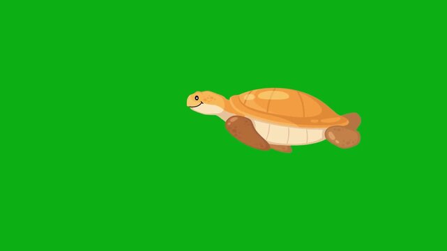 turtle sea ocean reptile shell water swim marine aquatic depth coral premium stock media clip for professional video editing projects. this high-end visual element is perfectly