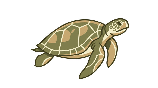Green Sea Turtle Swimming Alone.