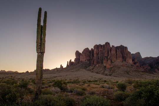 Twilight silhouette of Saguaro cactus and Superstition Mountains.