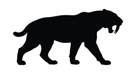 Smilodon fatalis silhouette against a white background a prehistoric saber toothed cat silhouette saber tooth feline predator mammal carnivore © Sumon