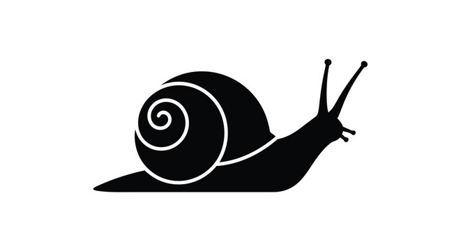 A black snail with a spiraled shell and visible antennae is presented as a silhouette mollusk gastropod spiral