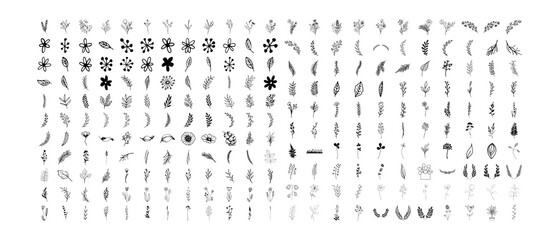 Botanical Foliage Sprigs and Floral Elements Transparent PNG Bundle © MdRanju