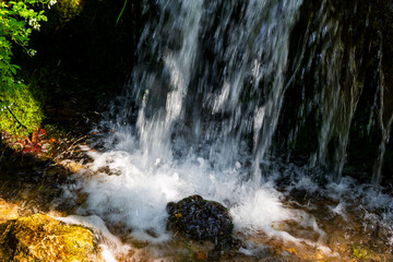 Crystal clear water cascades over dark rocks in a tranquil forest stream, creating a refreshing splash and foam amidst lush green foliage on a bright summer day © PhotoChur