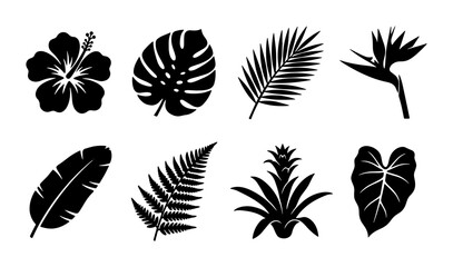Tropical Leaves and Flowers Vector Icons Set: Exotic Botanical Silhouettes for Summer Designs © Abu
