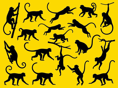 Playful monkey silhouettes pattern in black and yellow