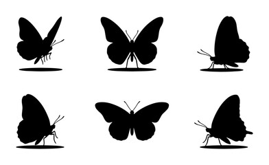 Butterfly Silhouettes Vector Set: Six Elegant Insect Poses for Nature and Design Projects © Farhana