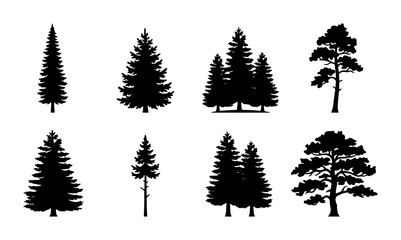 Diverse Pine Tree Silhouettes, Evergreen Forest Collection, Nature Elements, Woodland Graphics © Farhana