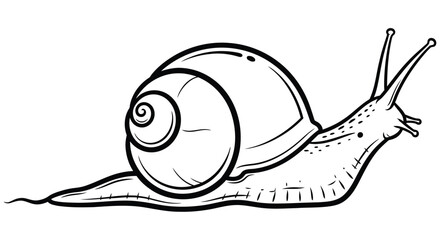 Line Art Snail Illustration With Detailed Shell And Body © JOHIRUL_STUDIO