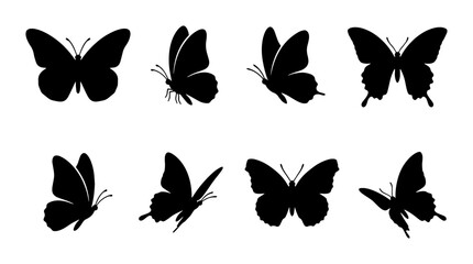 Elegant Black Butterfly Silhouettes, Vector Icons Set. Delicate Insect Wing Shapes for Nature Designs, Spring Graphics, and Decorative Elements. © Mariyam