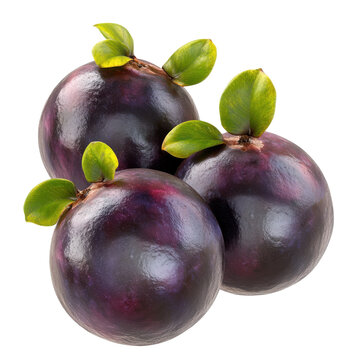 Three vibrant purple star apples with fresh green leafy sprouts isolated on white background