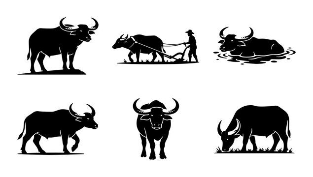 Water Buffalo Silhouettes Collection: Farm Animal Icons, Rural Life, Agriculture, Livestock, Wild Beasts, Vector Art