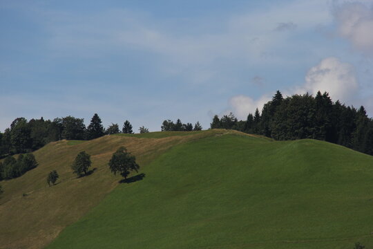 Green rolling hills and meadows in the Tyrolean Alps, Austria