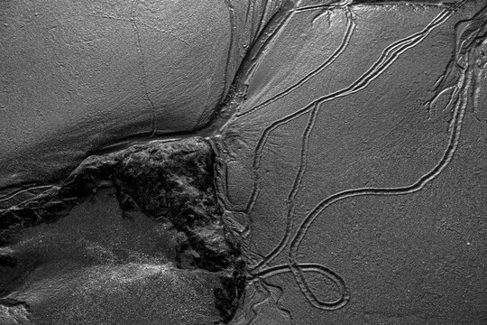 Black and white close up shows winding rivulets and rock embedded in wet sand at low tide