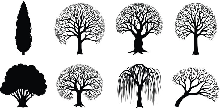 Set of vector silhouettes featuring deciduous bare trees, conifers, and shrubs for nature design projects