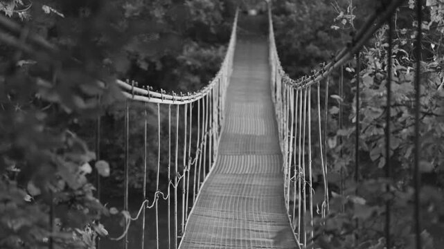 Black and white suspension bridge with wooden planks, cable supports, forest surroundings, soft background blur, rustic elevated walkway in natural landscape
