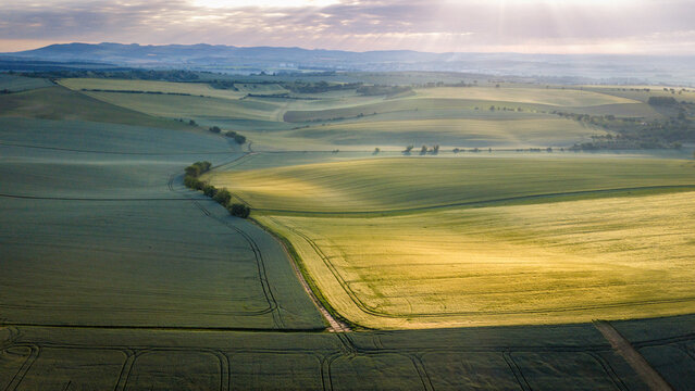 sunrise over rolling spring hills bathed in golden light and morning mist