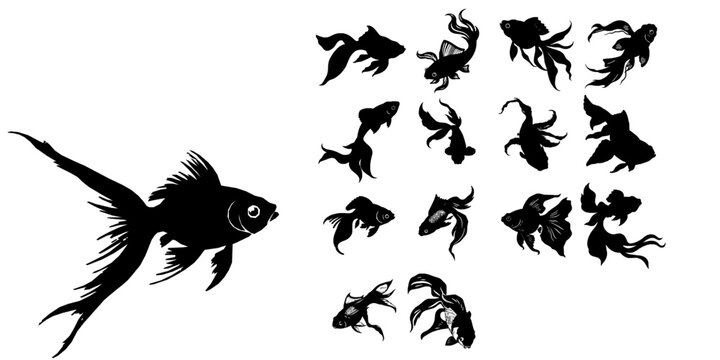 Goldfish with a Long Flowing Tail Silhouette