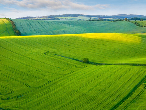 Aerial view of rolling green hills and vibrant yellow warm evening light just before sunset