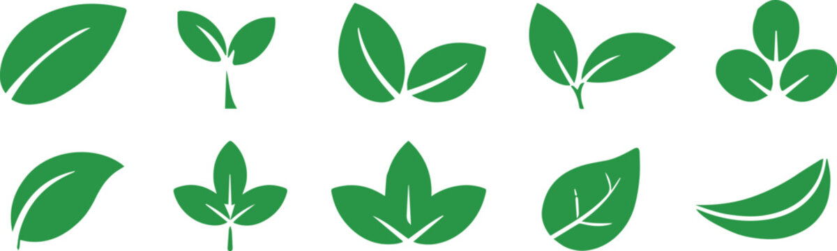 leaf icon collection vector leaf symbols for eco and nature design